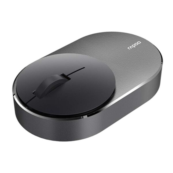 RAPOO SOURIS M600 SILENT